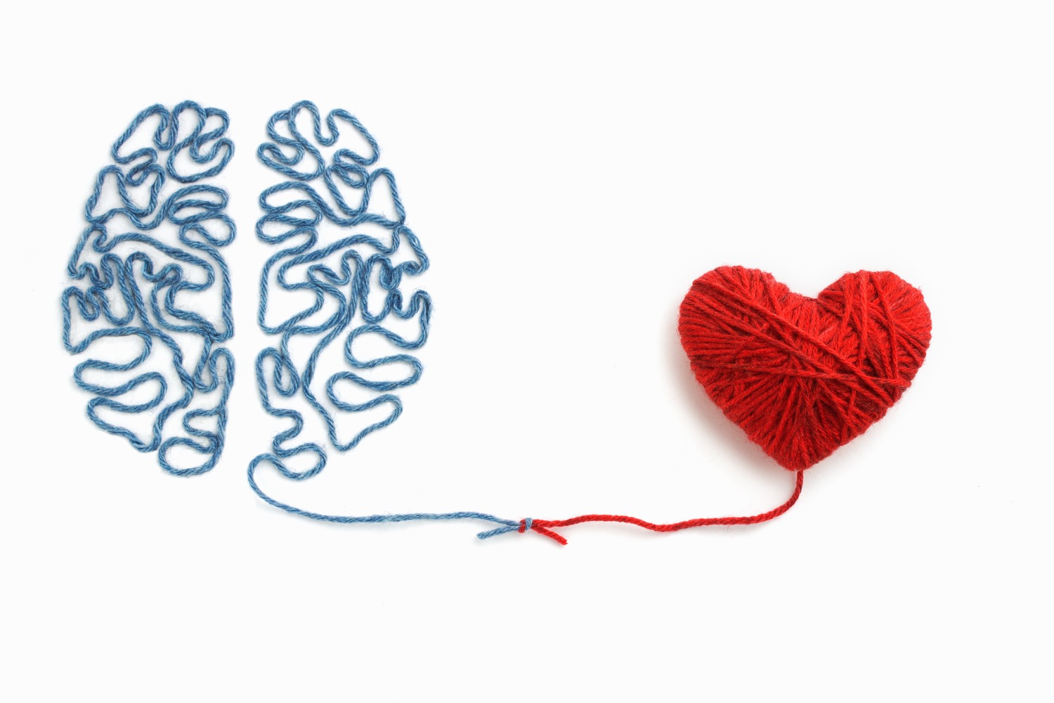 Cerveau relié au coeur