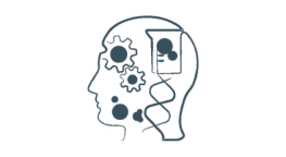 Image de cours - Science et technologie de 4e secondaire en formation à distance